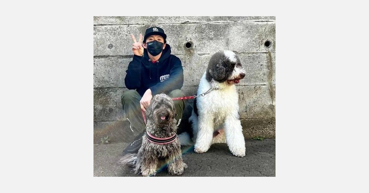 木村拓哉は愛犬家!木村拓哉。右がエトくん、左がアムちゃん（写真は本人インスタより）