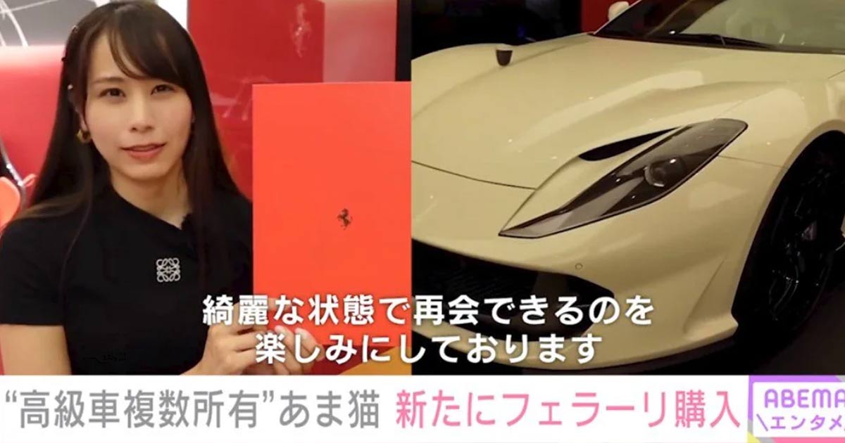 アベマ出演時のあま猫