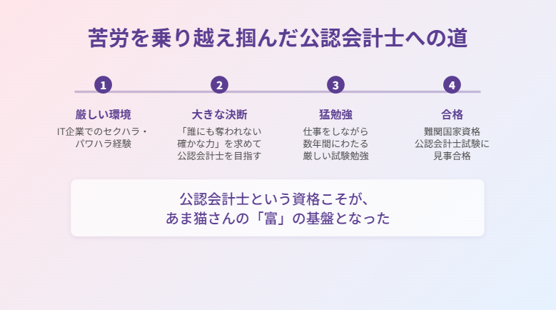 あま猫公認会計士への道